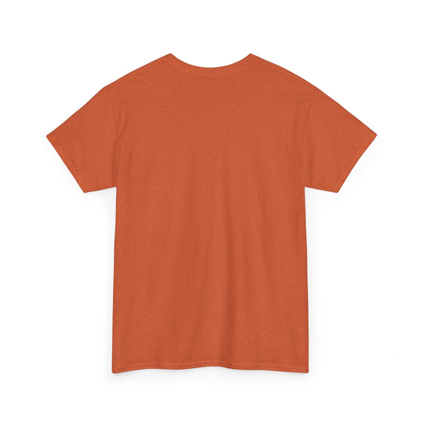 Earth Groove Unisex Heavy Cotton Tee - The Vibe Master Collection