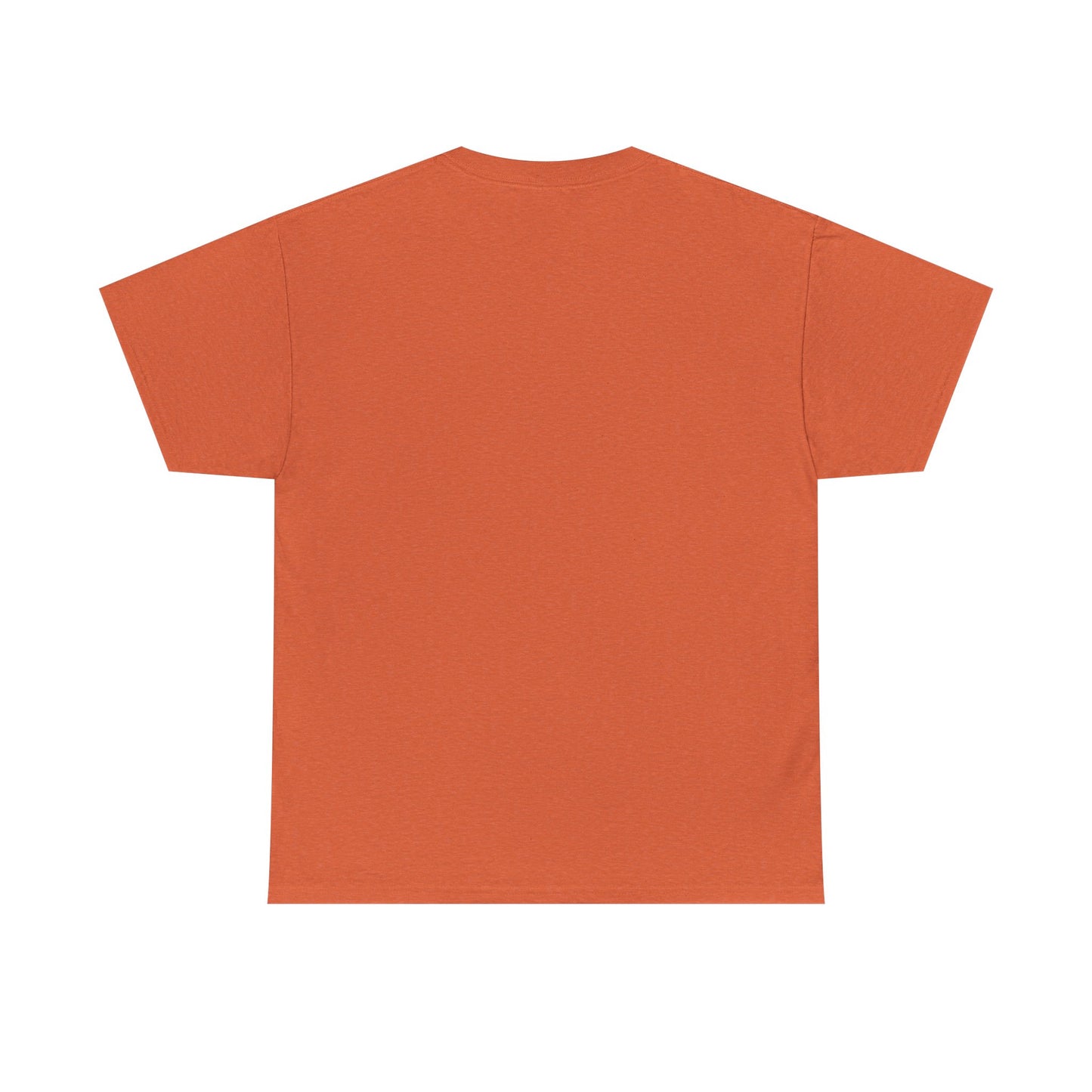 Earth Groove Unisex Heavy Cotton Tee - The Vibe Master Collection
